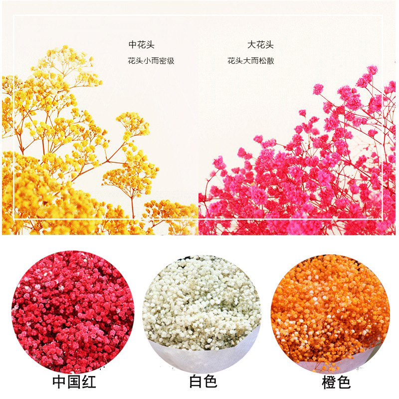 ネイルアートの乾いた花の永遠の命の満天の星の花束は顔の化粧の爪のアクセサリーの光を貼ることができます。|undefined