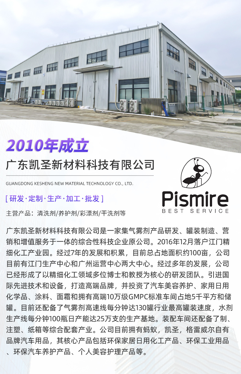 Customized Asphalt Cleaning Agent 450ml Car Paint Resin Cleaning Liquid Maintenance Product for Paint Surface
