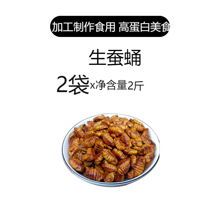 2.5kg 桑蚕蛹農場新鮮で清潔な桑蚕蛹生小さな蚕蛹繭蛹子山東省産蛹蝉冷凍送料無料|undefined
