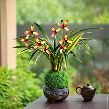 ˮ���߅�m�����֦���~ �҃��k����С���ԾGֲ���ܺ��B�ļ��m��