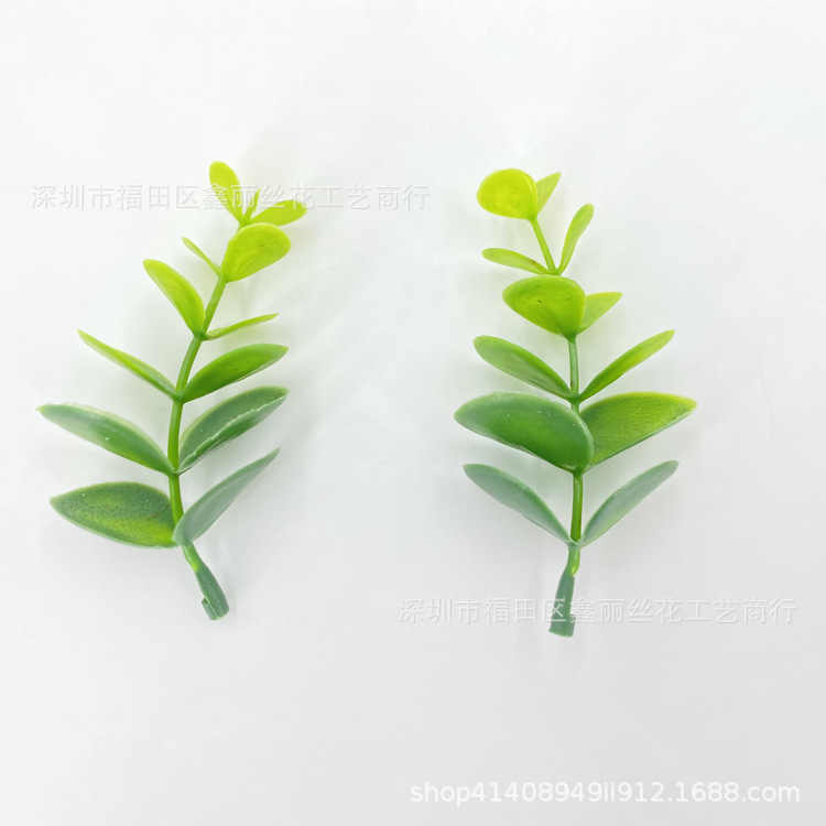 仿真植物 草坪草底板草大尤加利叶 花生草叶 塑料水草 水族草配件