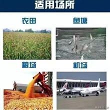 跨境货源 机场防鸟网 果园大棚防虫网 防鸟网 黑色尼龙防鸟网
