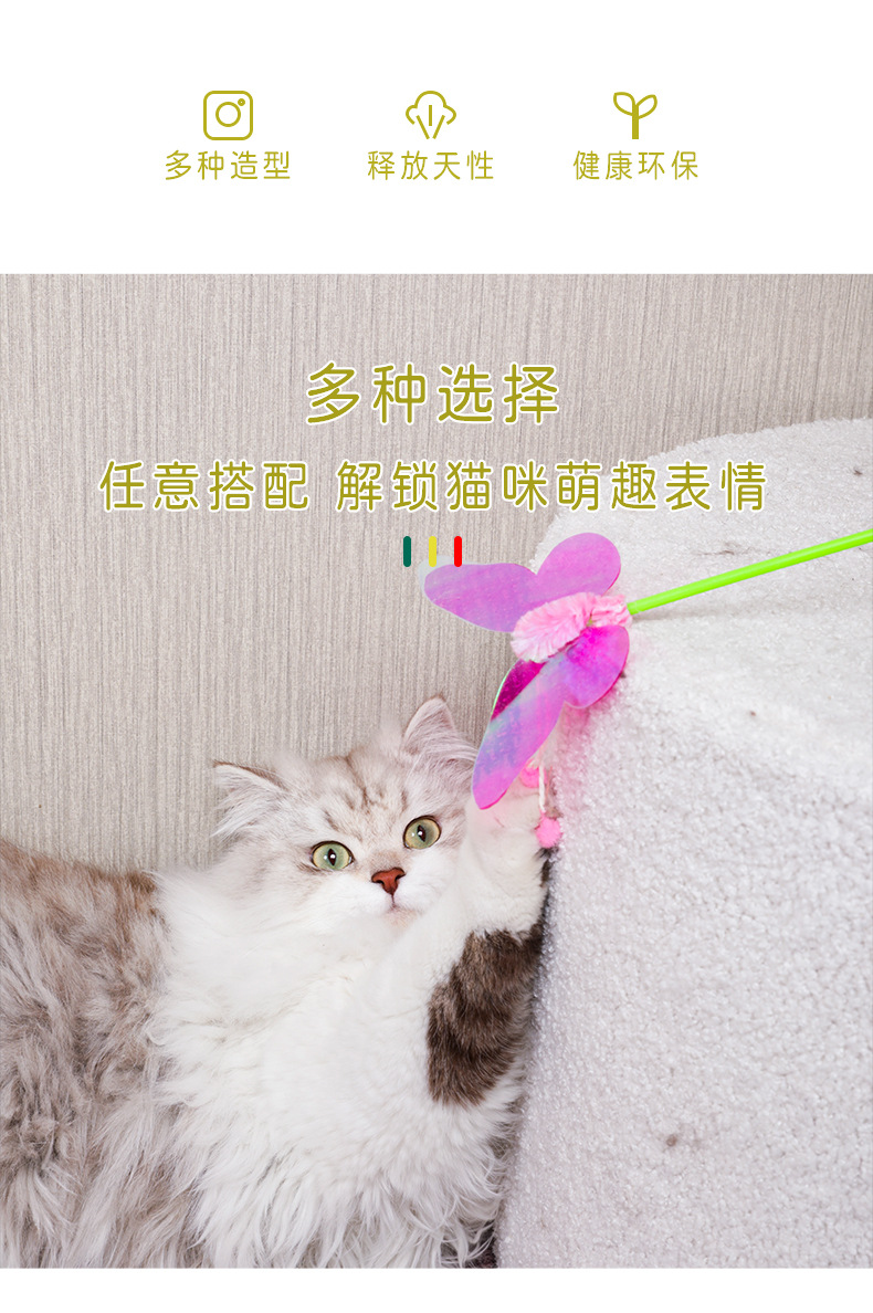 详情_02.jpg