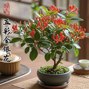 ���L�����ļ��_������ý��y������ș���ݲ�����ͥԺ�̨�ͺ��͟�