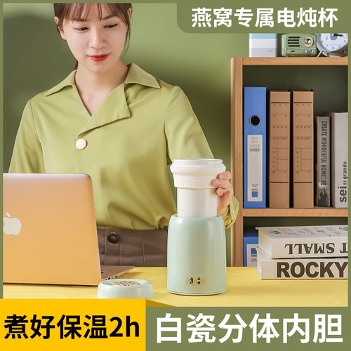 Yanwo Mini Electric Porcelain Cooker, Multifunctional Convenient Electric Hot Pot for Office Flower Tea Pot, Rice Cooker
