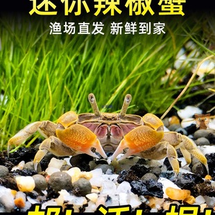 ����з����з�^�pз���c�����~��ȸ�~�r���R�~���B�Ԝu�x������w