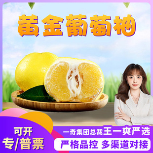 �����x�������S�������� ���l�Y��5/9�������S�����Ӯ������rˮ��