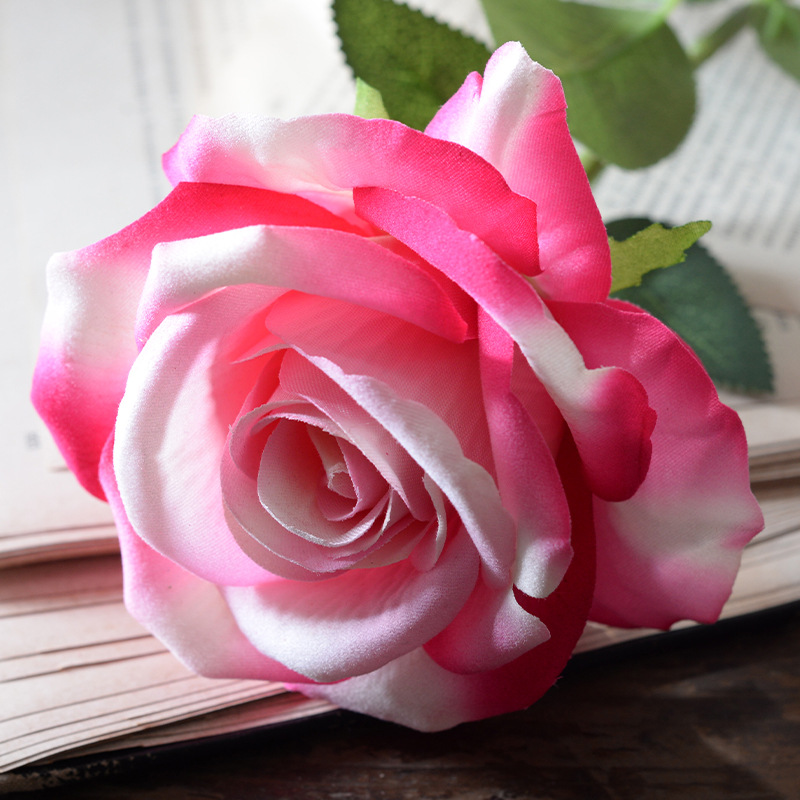 Large velvet rose dark pink