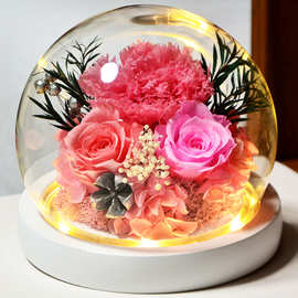 康乃馨永生花玻璃罩成品礼盒创意真花摆件圣诞节母亲节生日礼物