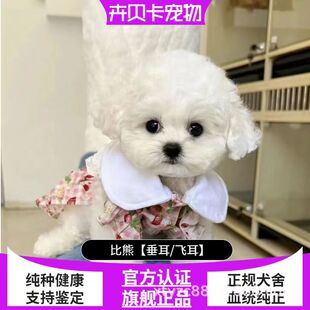 ���N������Ȯ��ɫ�pѪ�yِ�����w������ܹ������ﹷ�L��������