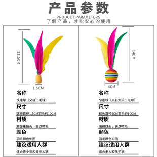 �ߏ���ë�����l ������������uë������w�������҃��\�ӽ���