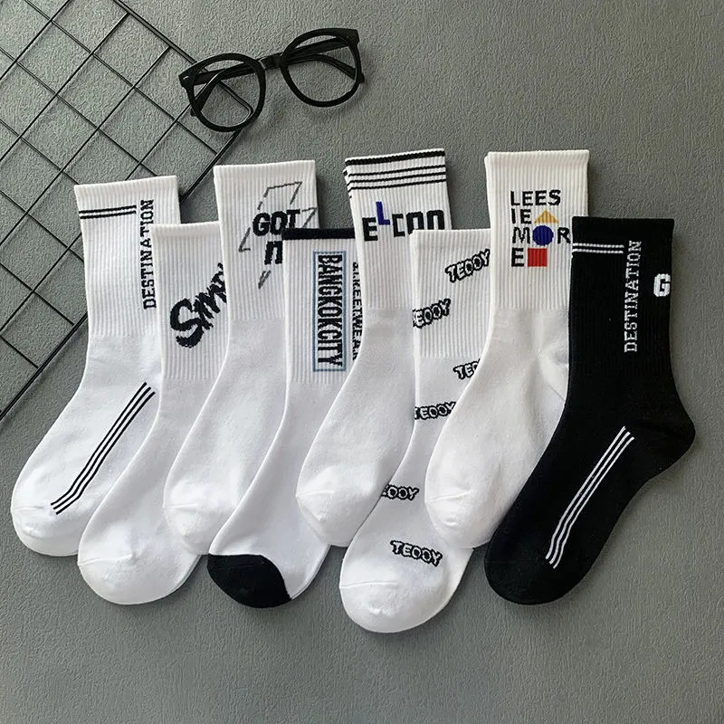 8 이중 장착 2022 조합 1