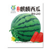 Small packaging Various vegetable seeds 8*10 cm small packaging can be used as gift vegetable seed factories wholesale