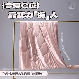 春夏新品A类水光丝绸锦氨凉感冰丝夏凉被夏被空调被薄被子被芯