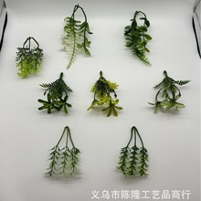 10cmˮ��ˮ�� ��֦��ˮ�ݷ�������ֲ��S��ˮ�� DIY��ƺ �辰���