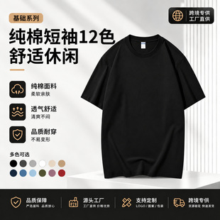 �羳��ʿ����t���ذ���ɫ�ļ��A�I���������������e����12ɫ
