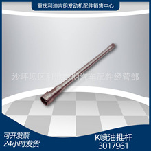 �S��ֱ�N �����ƗU3017961 K19͹݆�S�Ӽ�