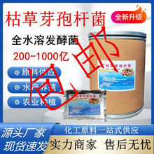 现货批发枯草芽孢杆菌农用微生物肥水产养殖全水溶枯草芽孢杆菌