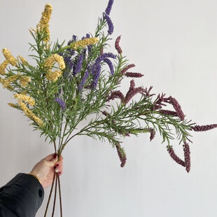 �L֦��ĭ޹�²ݷ��滨�������_��˹�͏d�b���ɫ�ٻ��[����β��