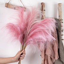 һ����}�b��JȔ����˹���滨�ٻ��Gֲ�����l��ˇƷINS�LMW85001