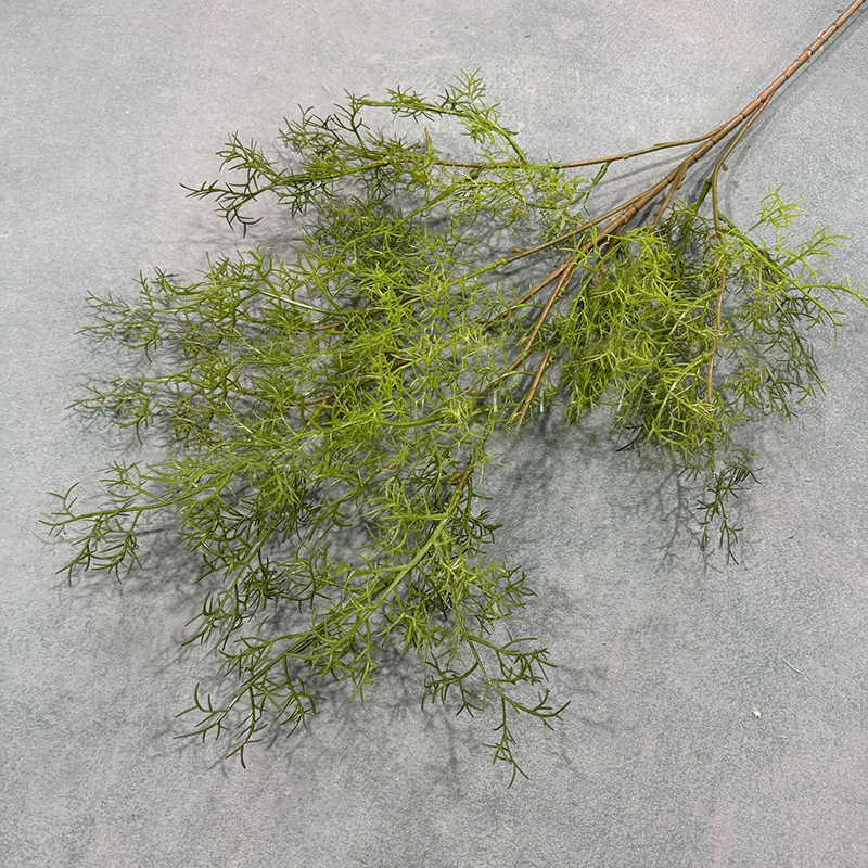 여러 머리 솔잎-짙은 녹색