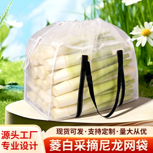 �羳����ȫ͸���ռ{�����ײ�ժ��������Ҵ��������W�z��������