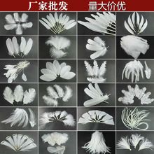 diy�ֹ���ë��ɫ��ë�𼦻���װ����Ʒ�����װ����