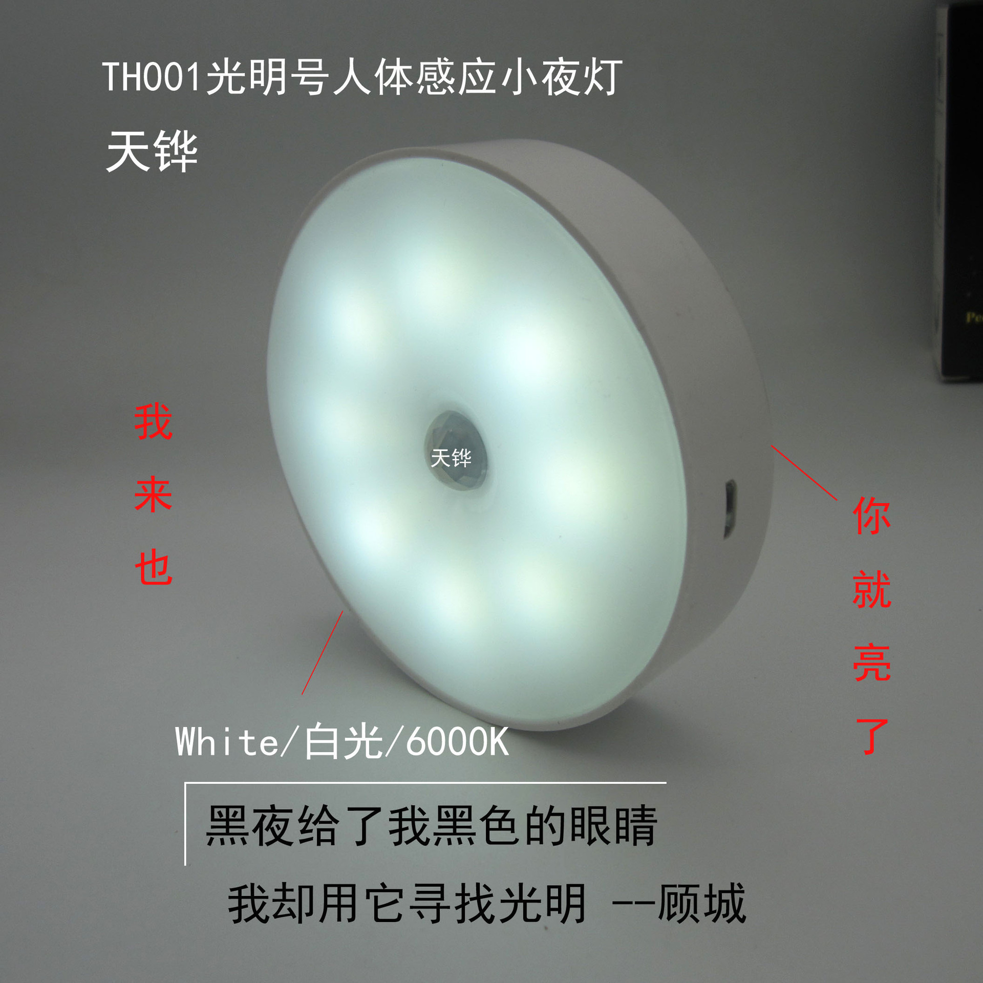 虎虎个人资料