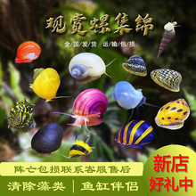 �^�p�ݺڽ������G�����[���۷�����U�~���~���坍���幤����