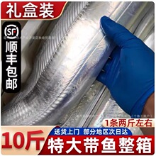 �ش��~���r�������10��Y���b��ɽҰ�����������~�r��~���r