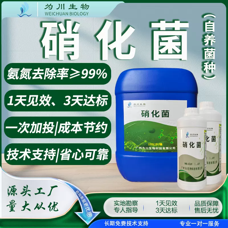 污水处理菌种好氧菌液体硝化菌好氧池曝气池速降氨氮自养硝化菌