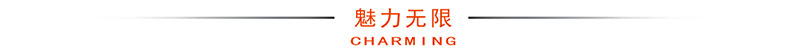 魅力无限.jpg