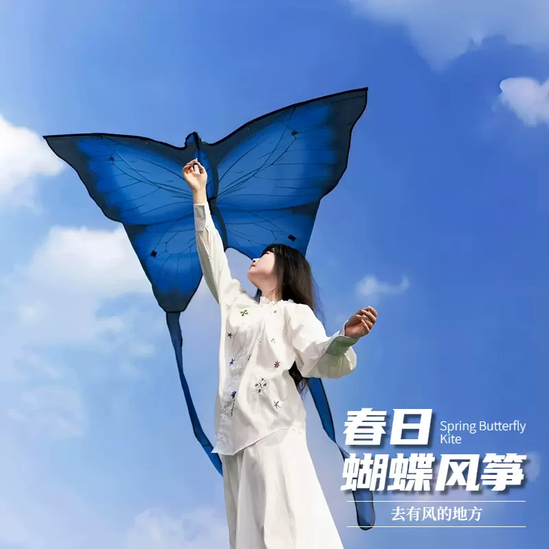 蝴蝶风筝手持大人专用潍坊微风易飞2025新款大型户外春游氛围拍照