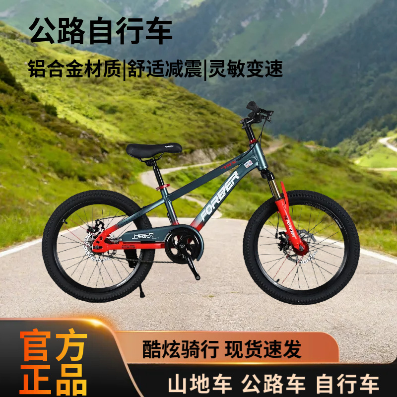 Unisex Bicycle Youth Outdoor Cycling Bicycle Permanent Mountain Bike Student Commuter Bicycle