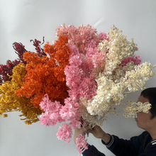 ����ӭ�Ͷ� �������ɻ���c���üҾ��b[���������� Ư�׺�����