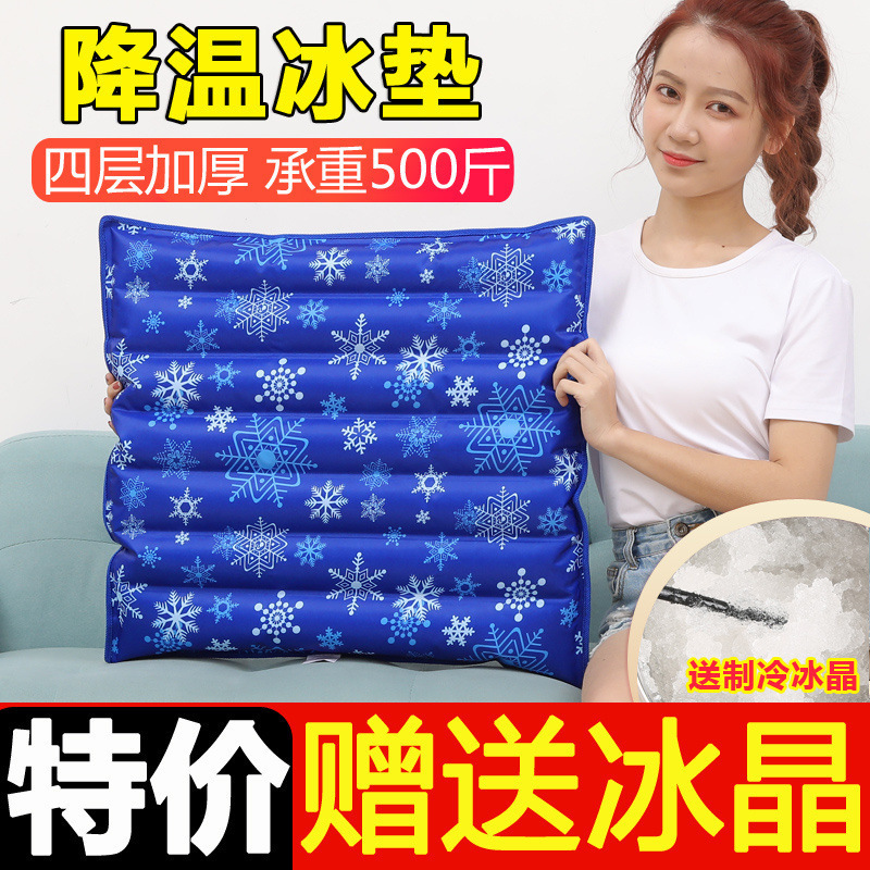 垫子椅子夏天冰垫水垫坐垫夏季水袋宠物屁股冰凉水枕头降温水床垫