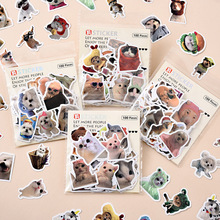 100张小猫小狗贴纸创意狗狗萌宠动物小猫装饰手机壳背卡滴胶贴画