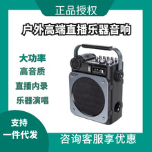 不见不散音响D6新款户外高端演出级别乐器专用萨克斯吹管弹唱音箱