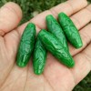 Relief dry green emerald iron dragon raw accessories jade film double happy tree leaf petal jade tube road with pearl lotus jade ring