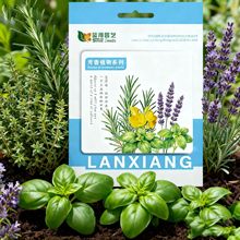 Smile Seeds ��Ȼ�ЙC���D���������b��ݷN��ϵ���҃�����ɷN