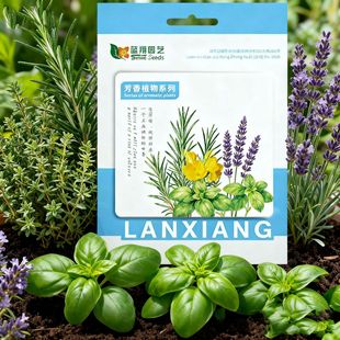 Smile Seeds ��Ȼ�ЙC���D���������b��ݷN��ϵ���҃�����ɷN