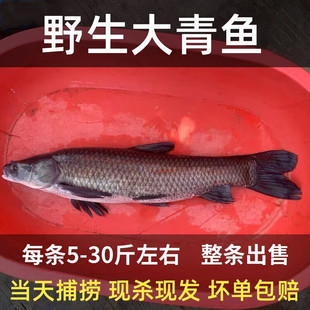 ʮ���Ұ�������·���~ԭ���B��ˮҰ�����L�����~�r��F�����rˮ