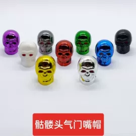 其他汽车外饰;气门嘴;车身及附件