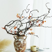 龙枣枝中式插花天然树枝树干装饰干花客厅侘寂风酒店枯枝摆件干枝
