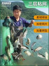 渔网粘网三层沉网捕鱼网进口丝网挂网50米加粗加重白条鲫鲤草鱼网