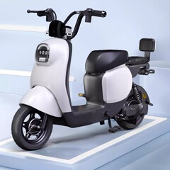 23種類の新国標電気自動車の男女の小さい亀のタイプの電気モーターのリチウム電気の盗難防止の2人の星悦の電動自転車の卸売り
