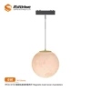 MT26-D150 Planet Suspension Light-Earth 6W
