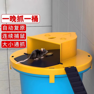 ���R�d�¿�w�����������Ԅ�����ץ�������ߎ��w���������T����