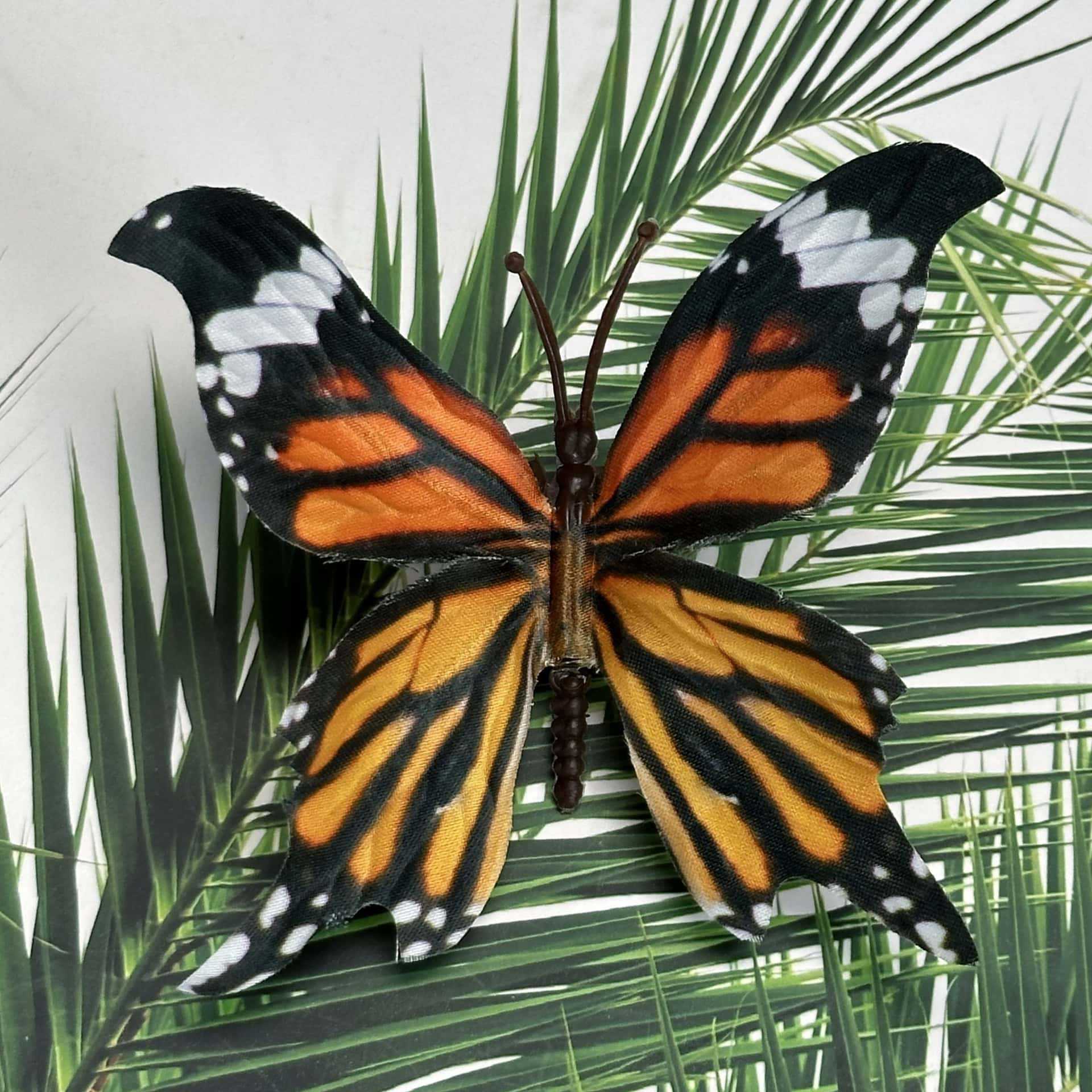 Seda 11CM color mariposa talla grande 32