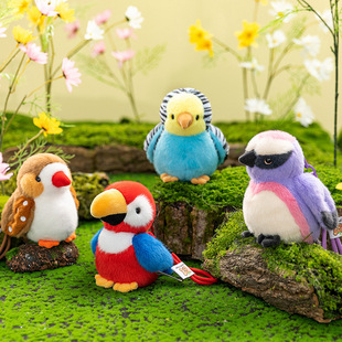 �羳�¿�ɐۿ�ͨС�Bë�q����W�^���а������Ů���Y����ż���l
